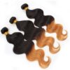 Xuchang Bundle T Color Hair Curtain Brazilian Hair Color Hair Body Wave Xuchang Bundle